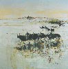 Camargue